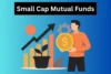 What is Small Cap Mutual Funds? Benefits and Risk - Post Thumbnail